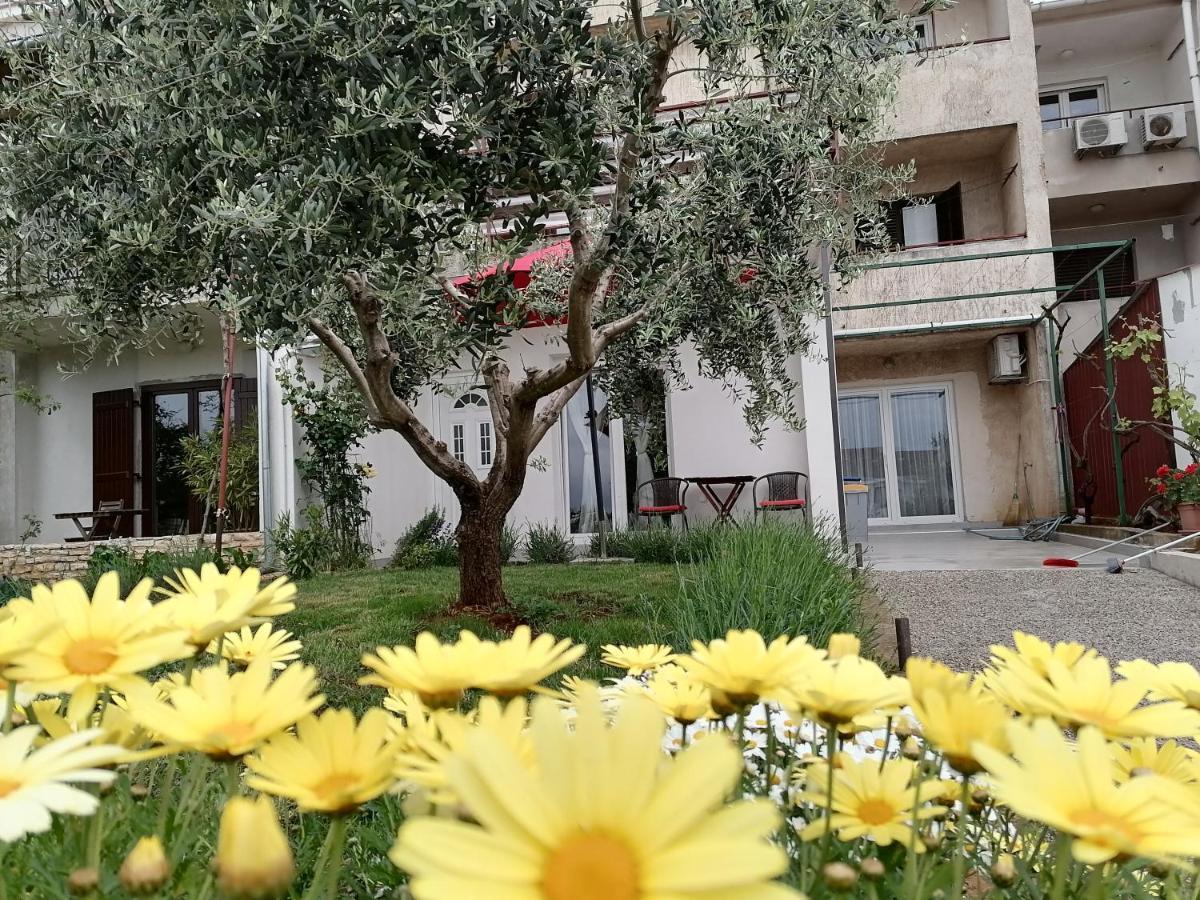 Leona Apartment Vidikovac, Πούλα Εξωτερικό φωτογραφία