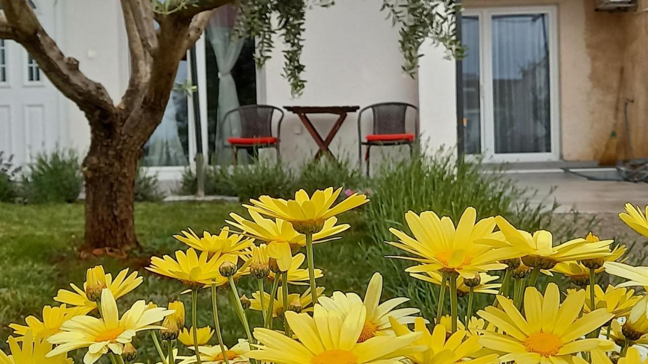 Leona Apartment Vidikovac, Πούλα Εξωτερικό φωτογραφία